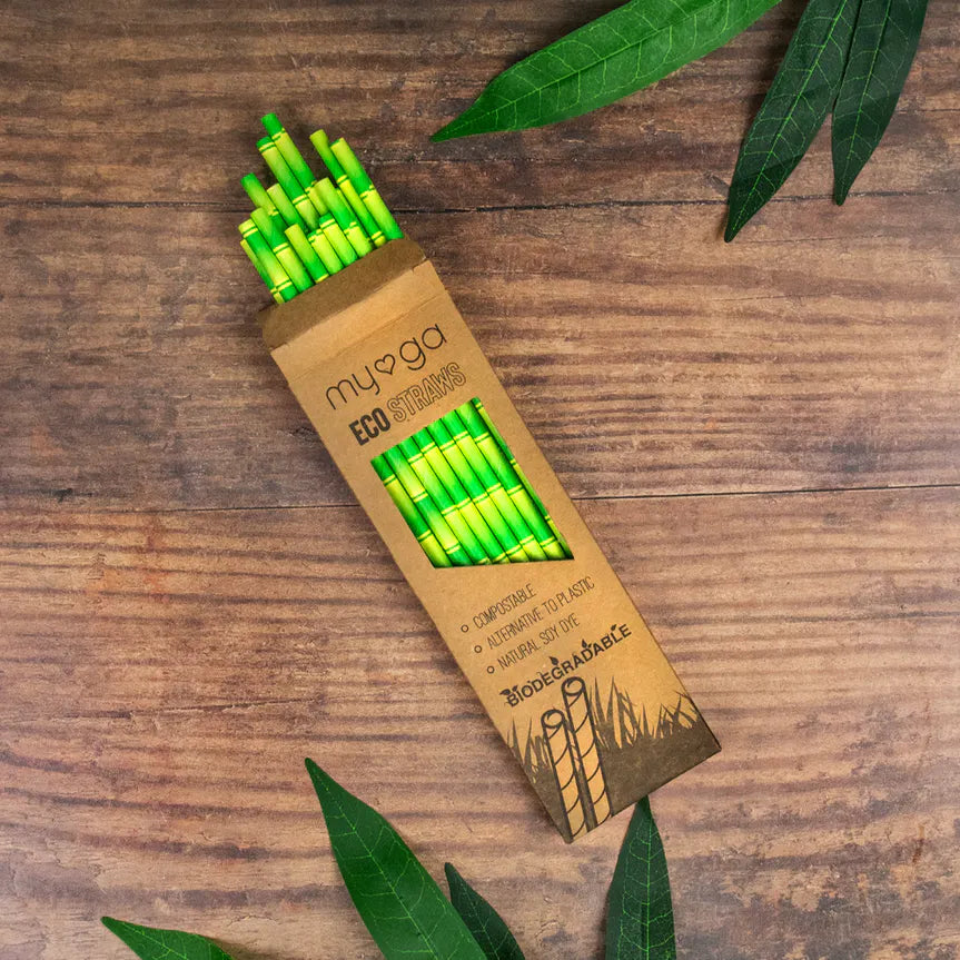 Pailles en bambou